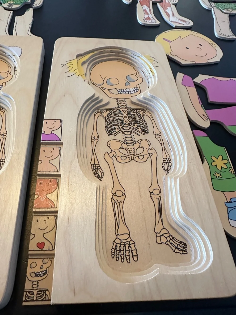 Hape Wooden Layered Anatomy Puzzles Boy & Girl Set of 2